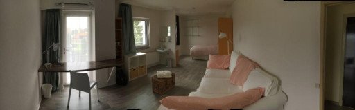 Geel-Eindekens-4of6