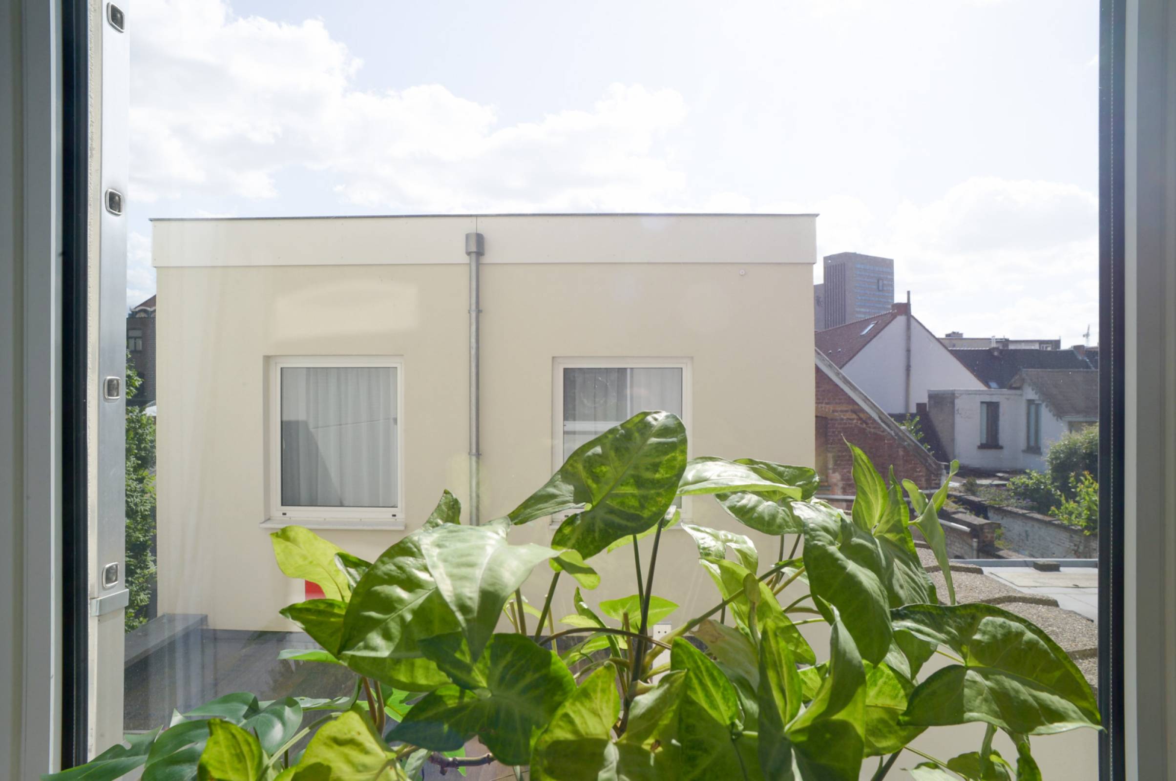 Gent-D. Van Monckhovenstraat-8of17