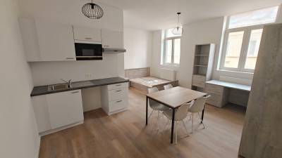 Studio - eigen sanitair en keuken - Keizer Karelstraat - Gent - thumbnail