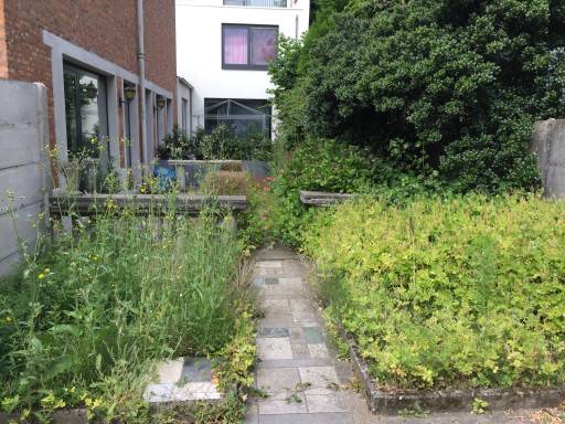 Wilrijk (Antwerpen)-Alfons Wellensstraat-2of8