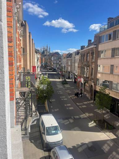 Louvain-Brusselsestraat-2of6