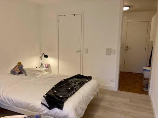 Gand-Muilaardstraat-2of10