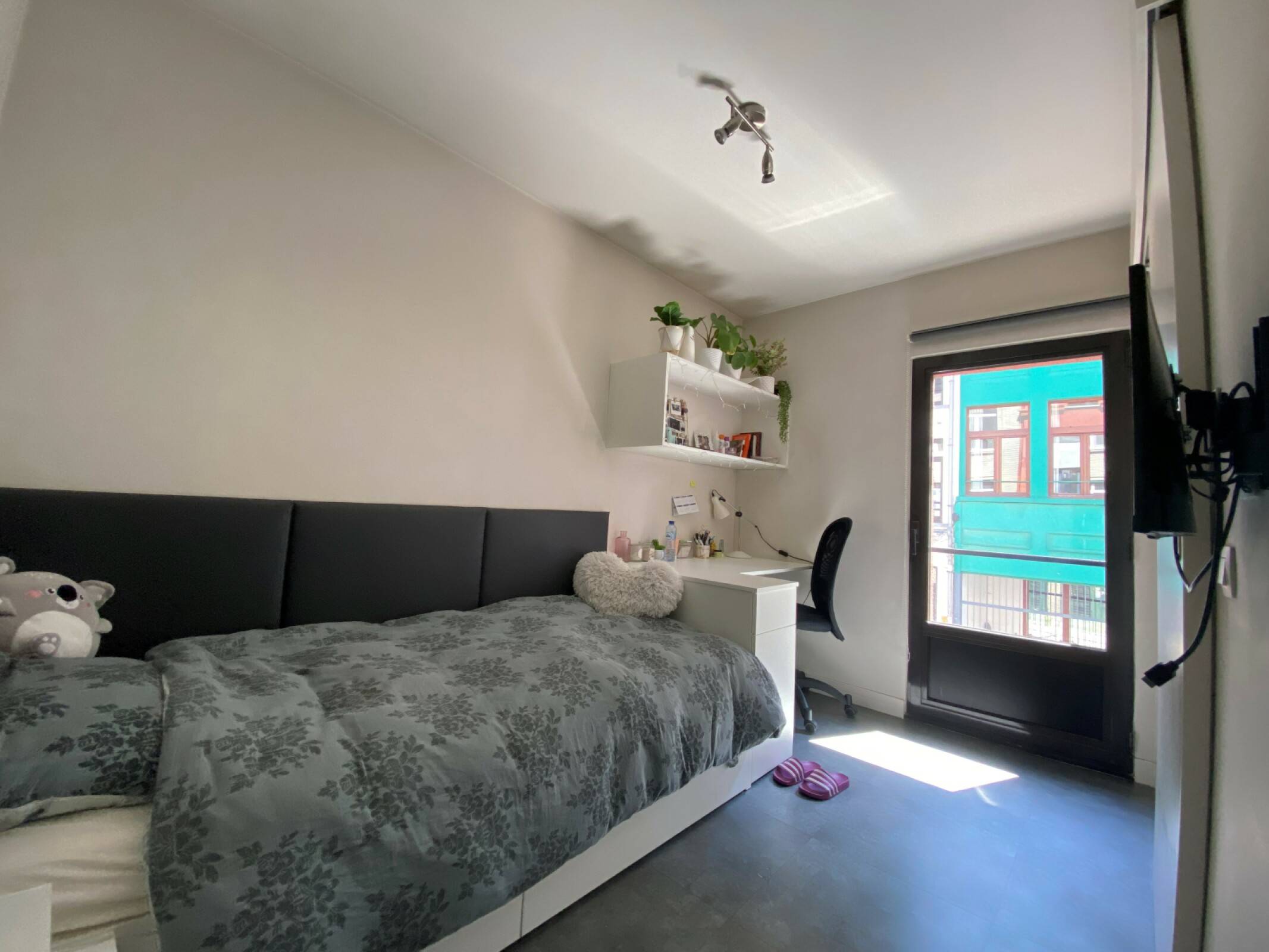 Antwerpen-Pieter van hobokenstraat-6of12