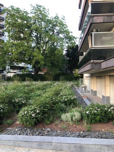 Ghent-Karel De Stoutestraat-2of18