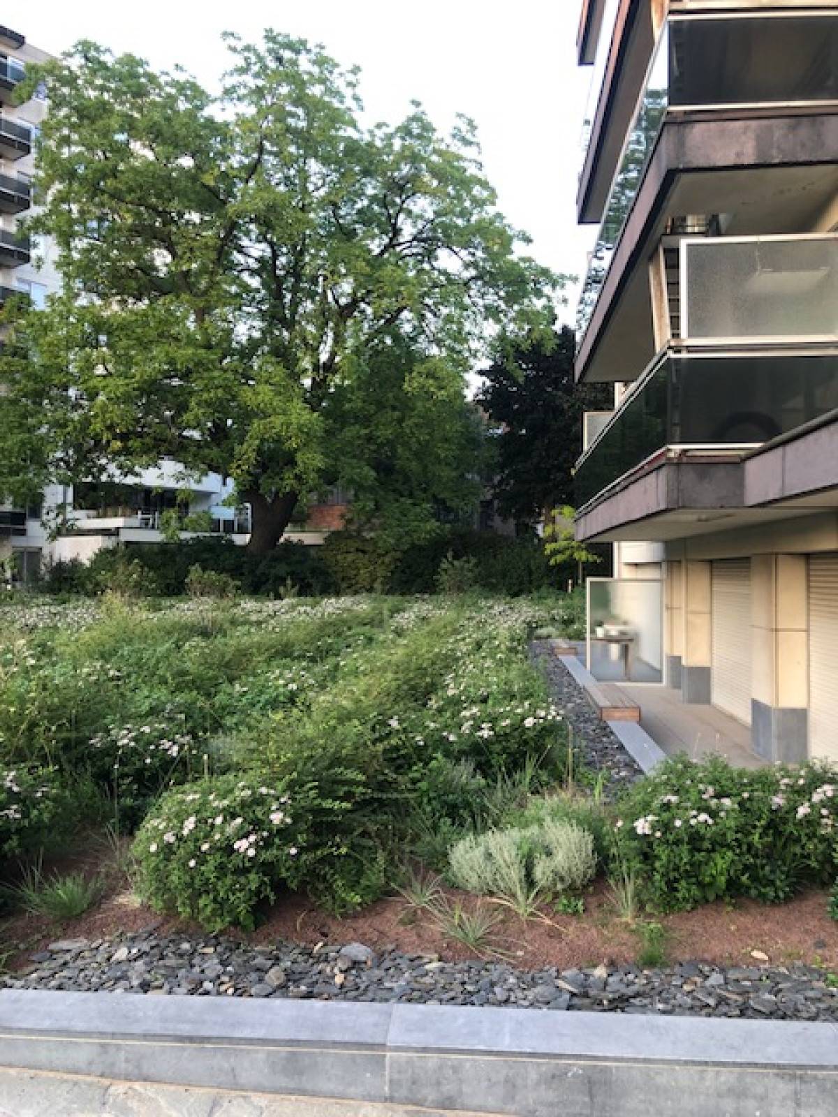 Ghent-Karel De Stoutestraat-1of18