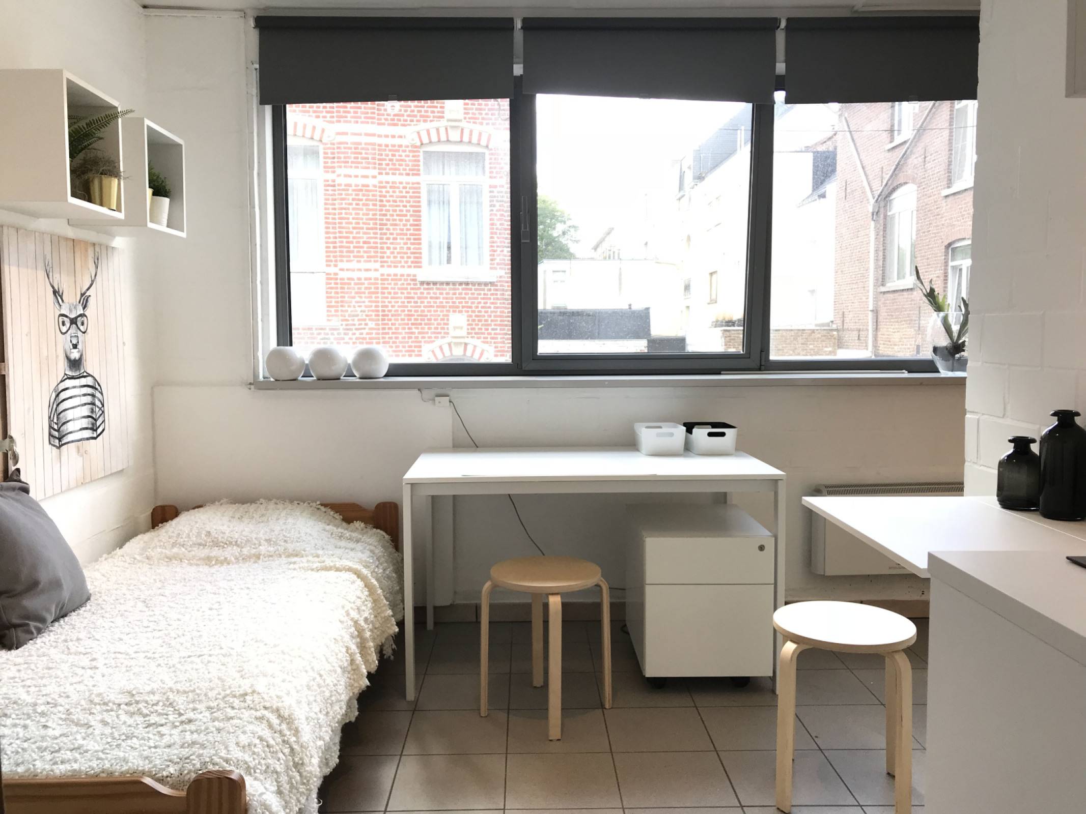 Leuven-Brabançonnestraat-4of23