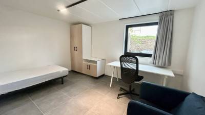 Studio - eigen sanitair en keuken - Steenweg - Diepenbeek - thumbnail