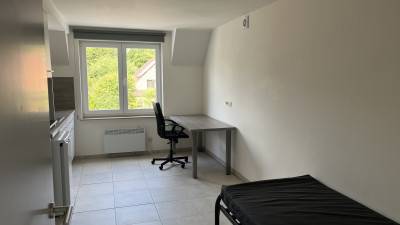 Studio - eigen sanitair en keuken - Peperstraat - Diepenbeek - thumbnail