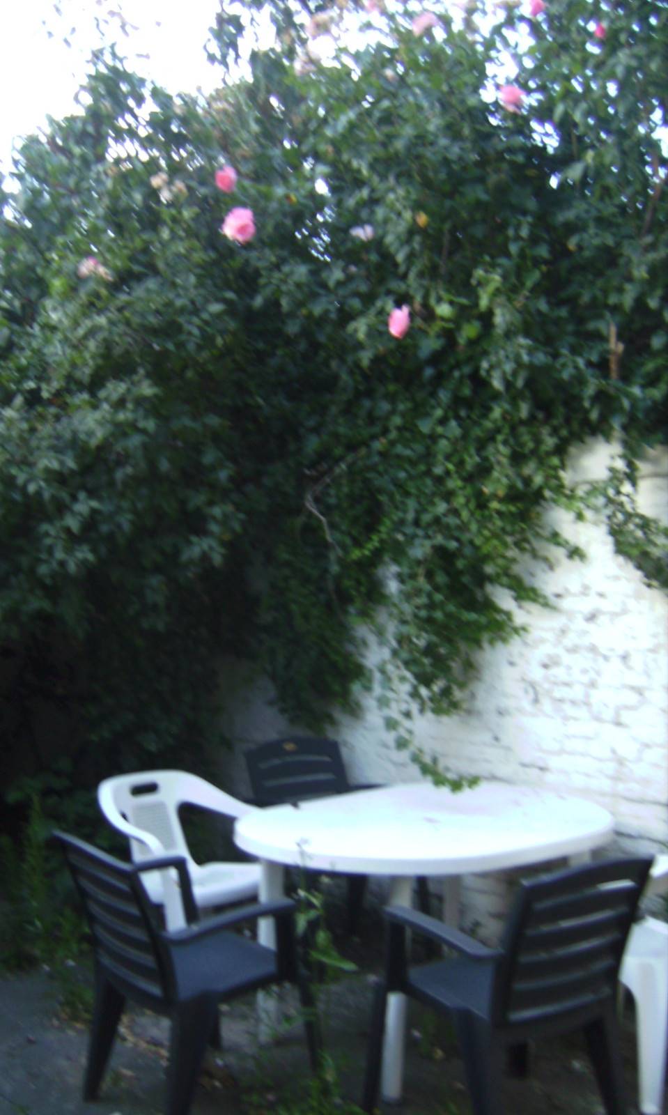Gand-Koolkapperstraat-6of7