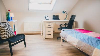 Studio - Nierstraat - Diepenbeek - thumbnail