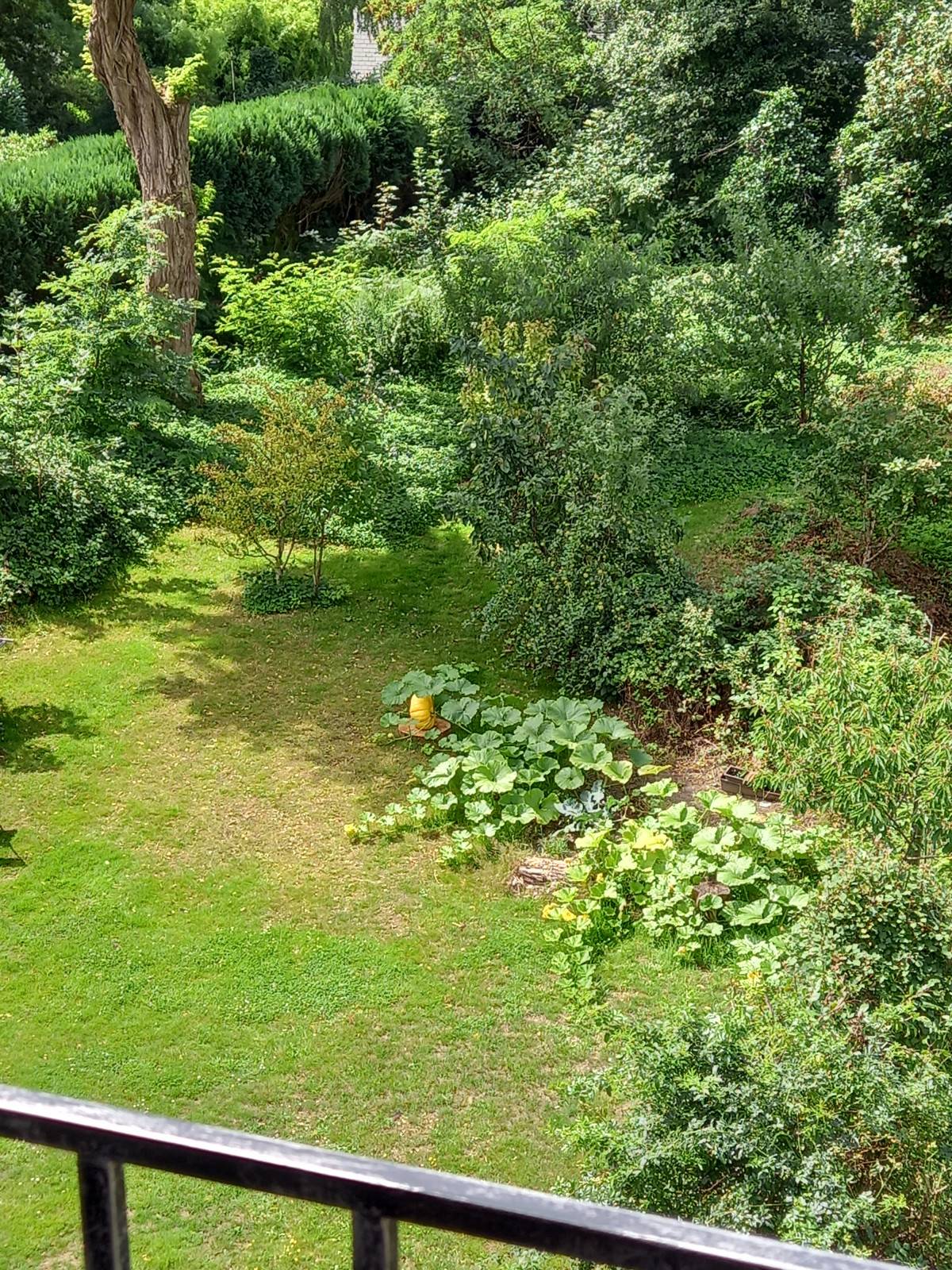 Sint-Pieters-Woluwe-Route Gouvernementale-1of7