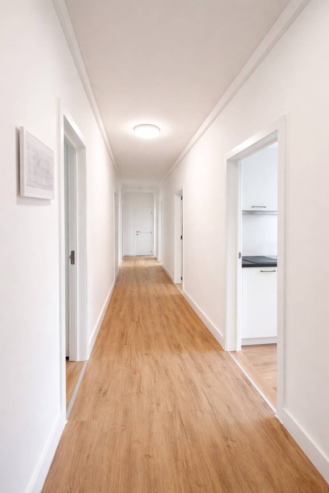Wilrijk (Antwerpen)-Doornstraat-5of7