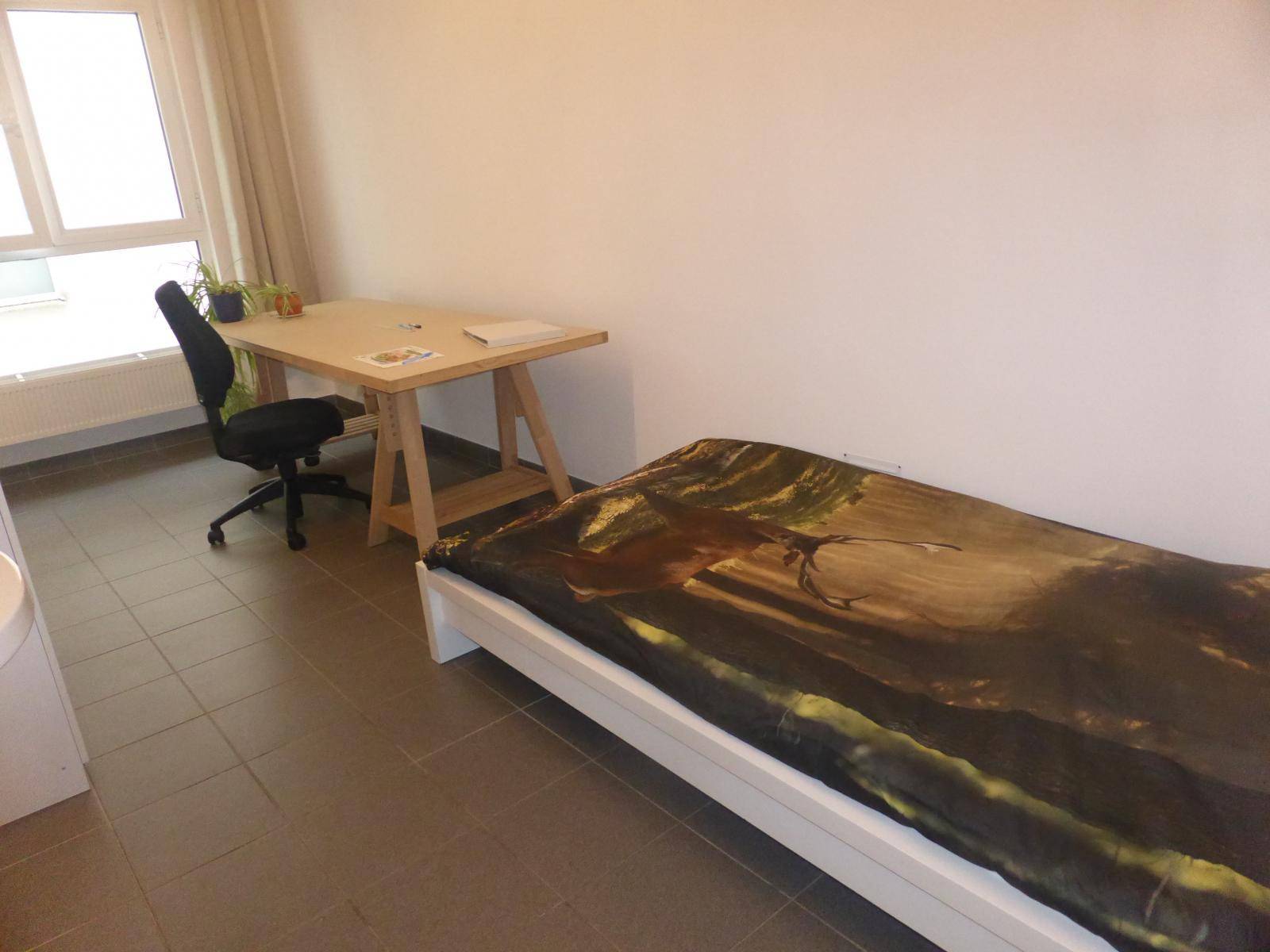 Mechelen-Hendrik Consciencestraat-1of2