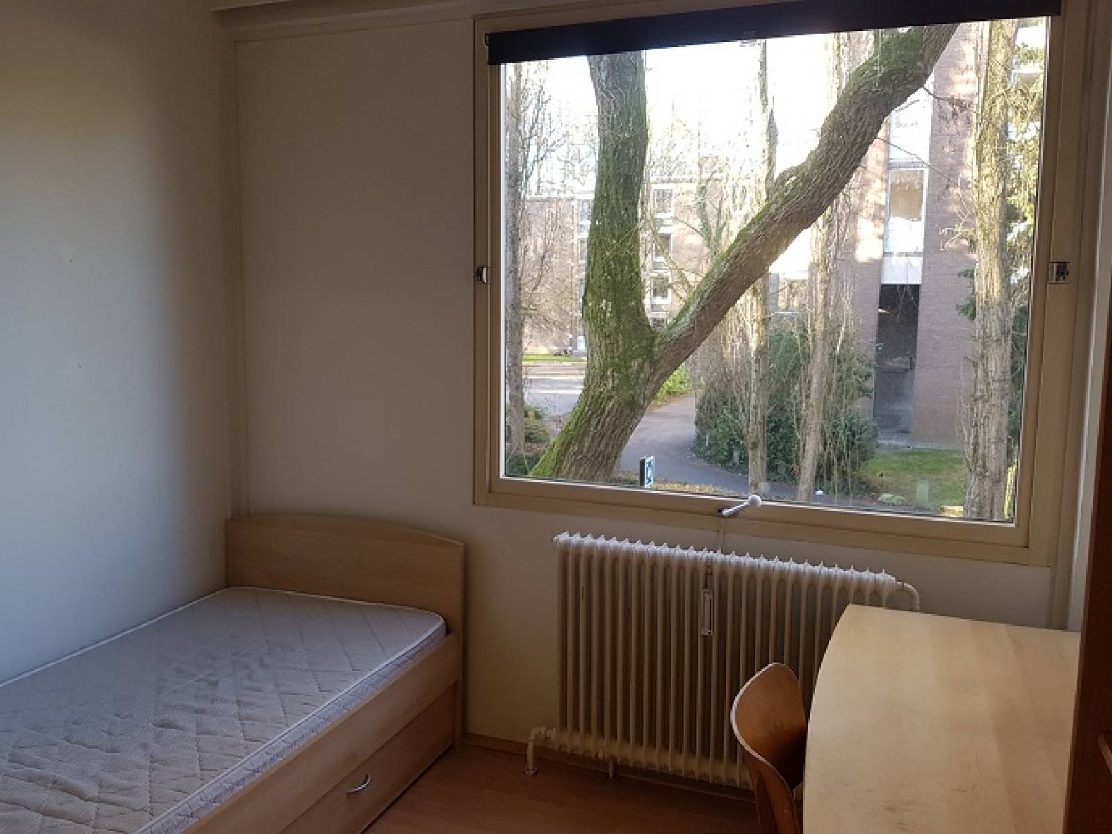 Heverlee (Leuven)-Tervuursevest-1of5