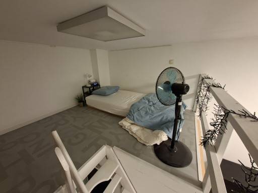 Anvers-Borzestraat-4of9