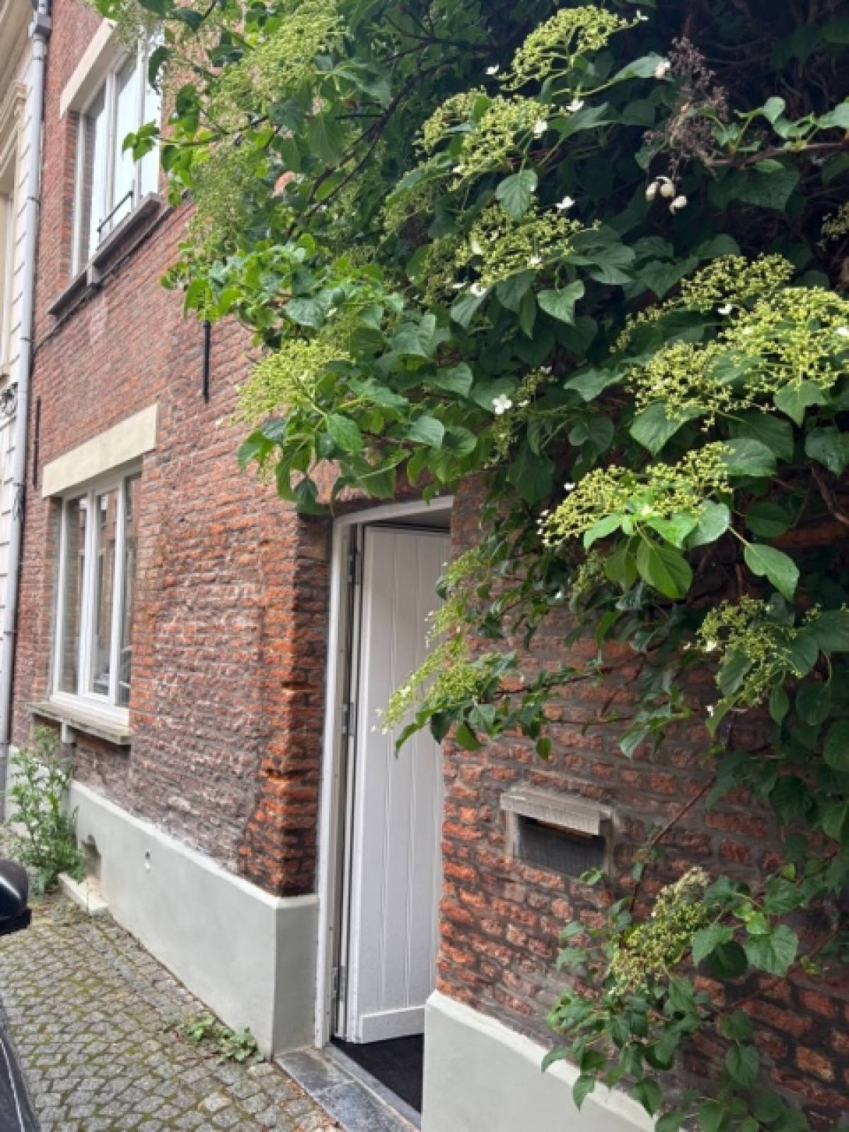 Mechelen-Vrouw Van Mechelenstraat-8of18