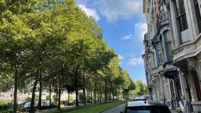 Flat sharing - Lambermontlaan - Schaarbeek - thumbnail