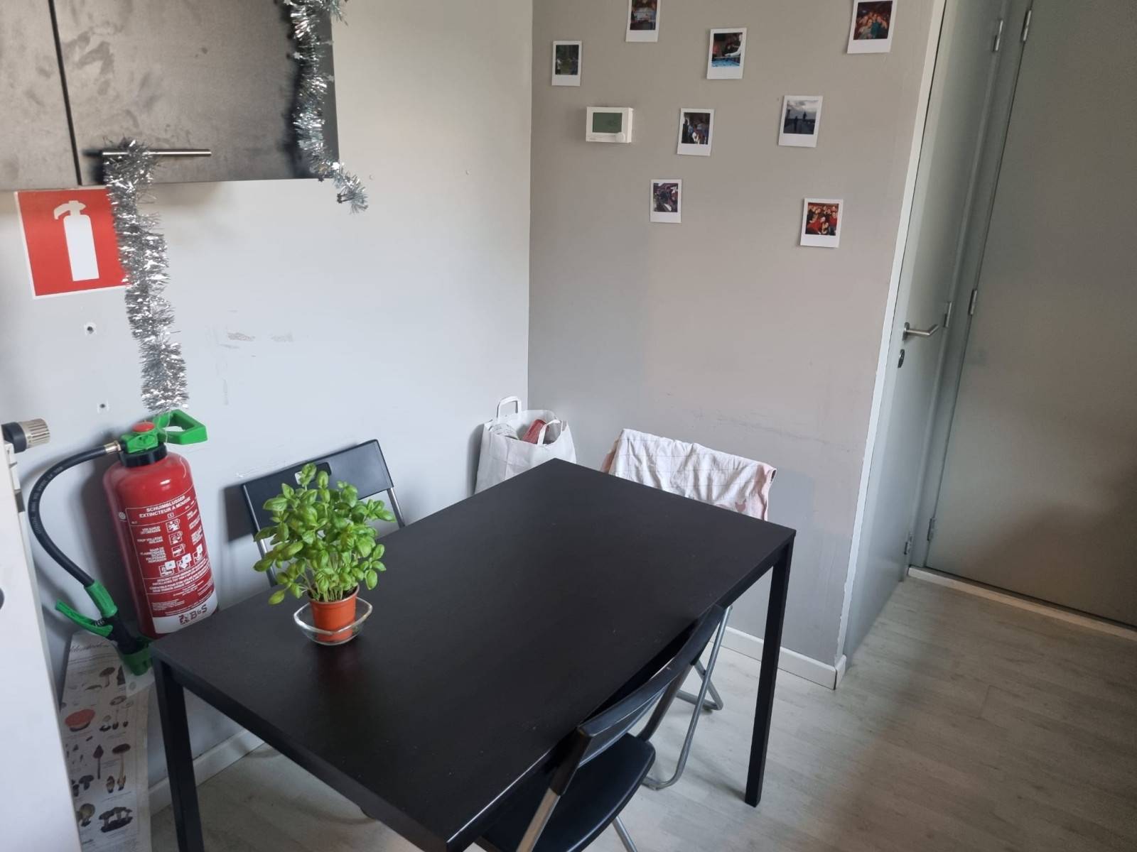 Wilrijk (Antwerpen)-Gallaitlaan-7of12