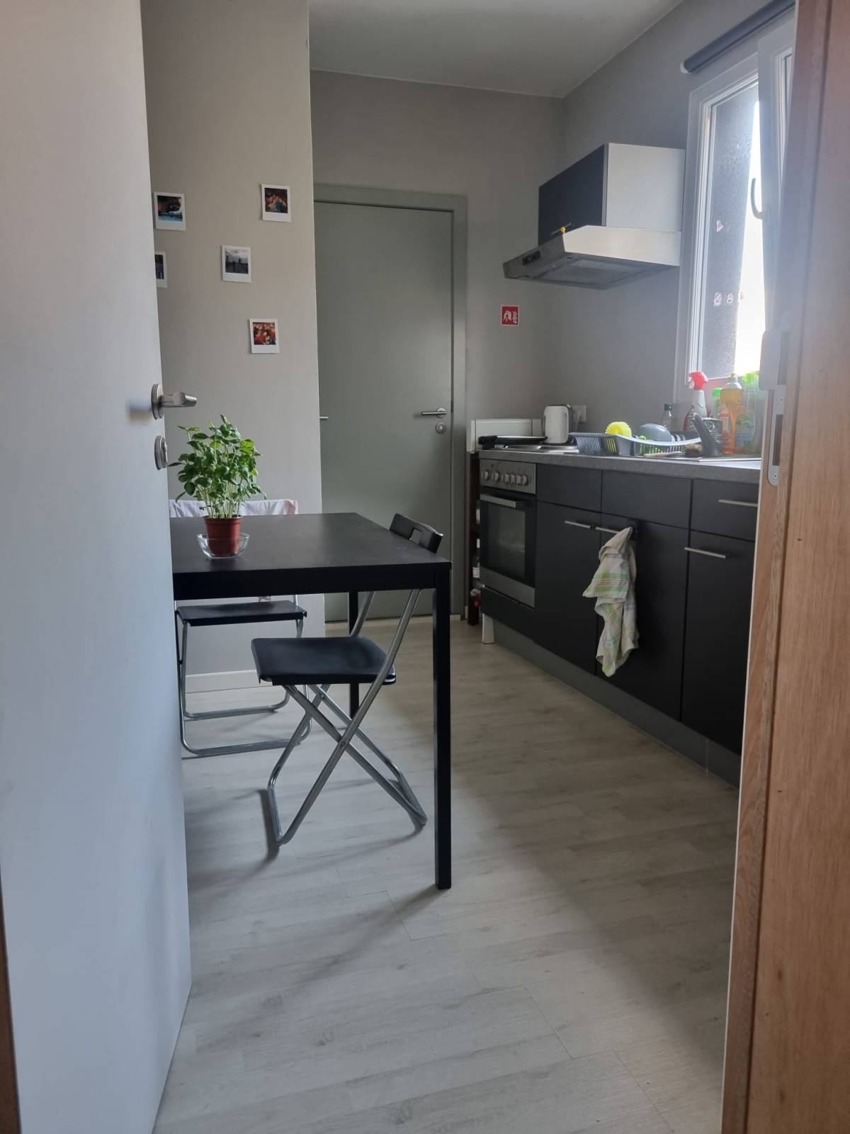 Wilrijk (Antwerpen)-Gallaitlaan-9of12