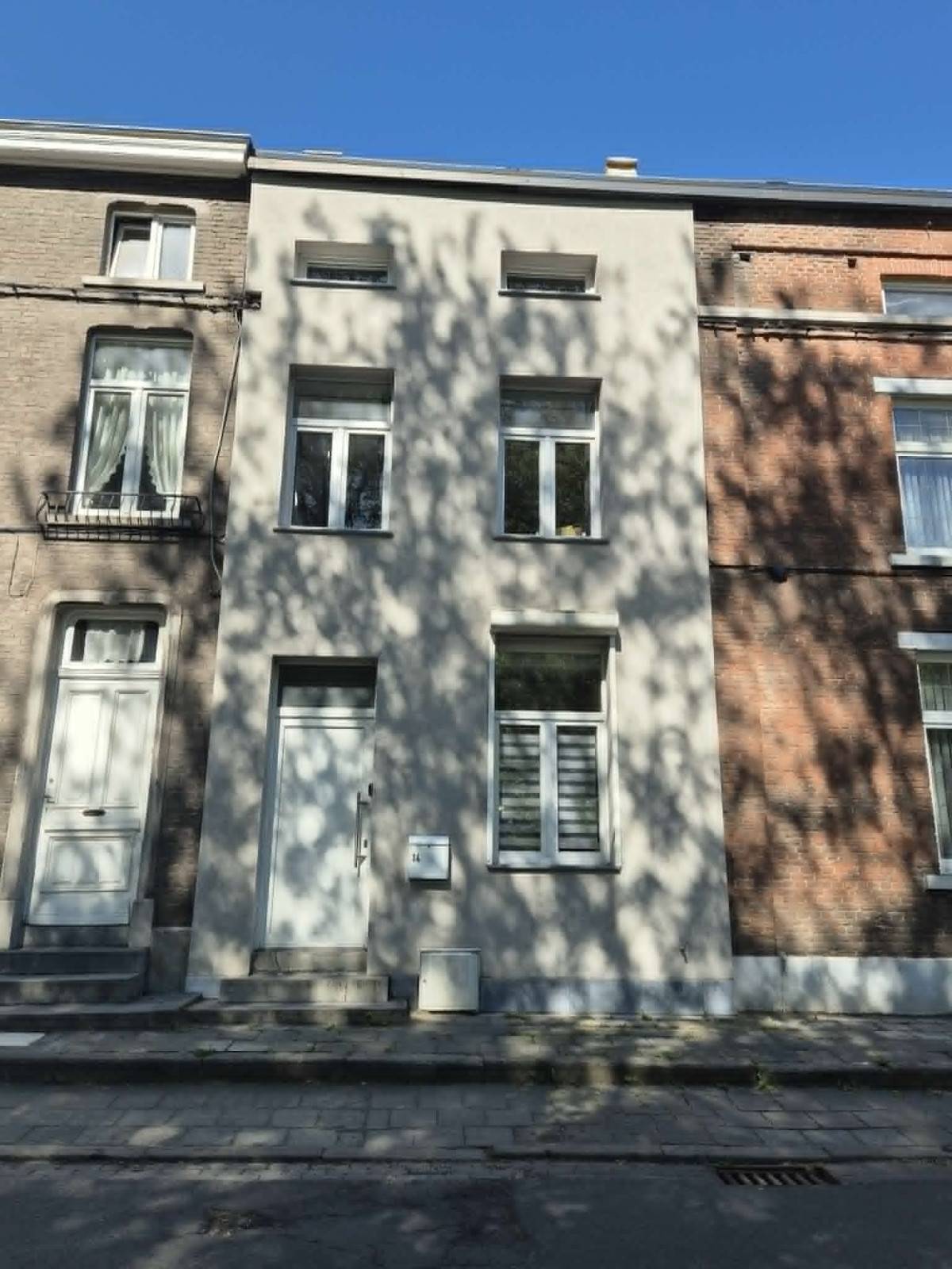 Couillet (Charleroi)-Du lion belge-1of11