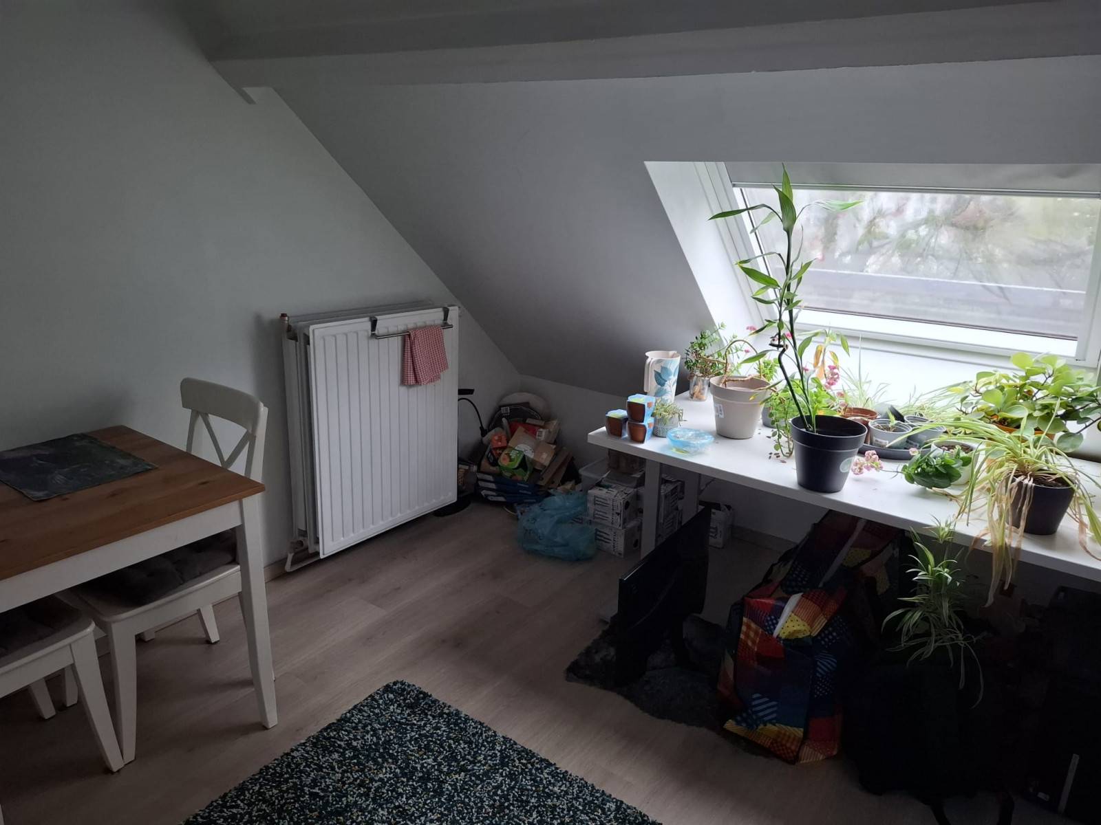Gent-Maria Van Boergondiëstraat-1of5