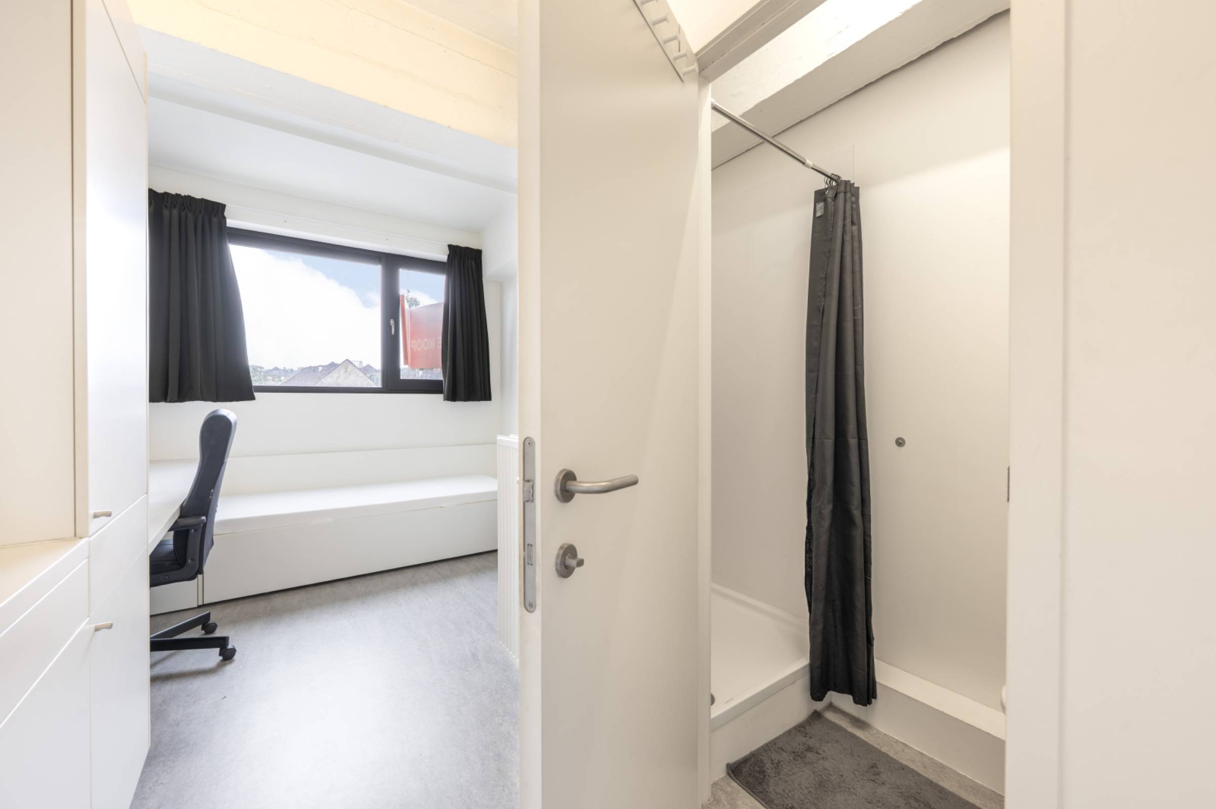 Anvers-Falconrui-3of12