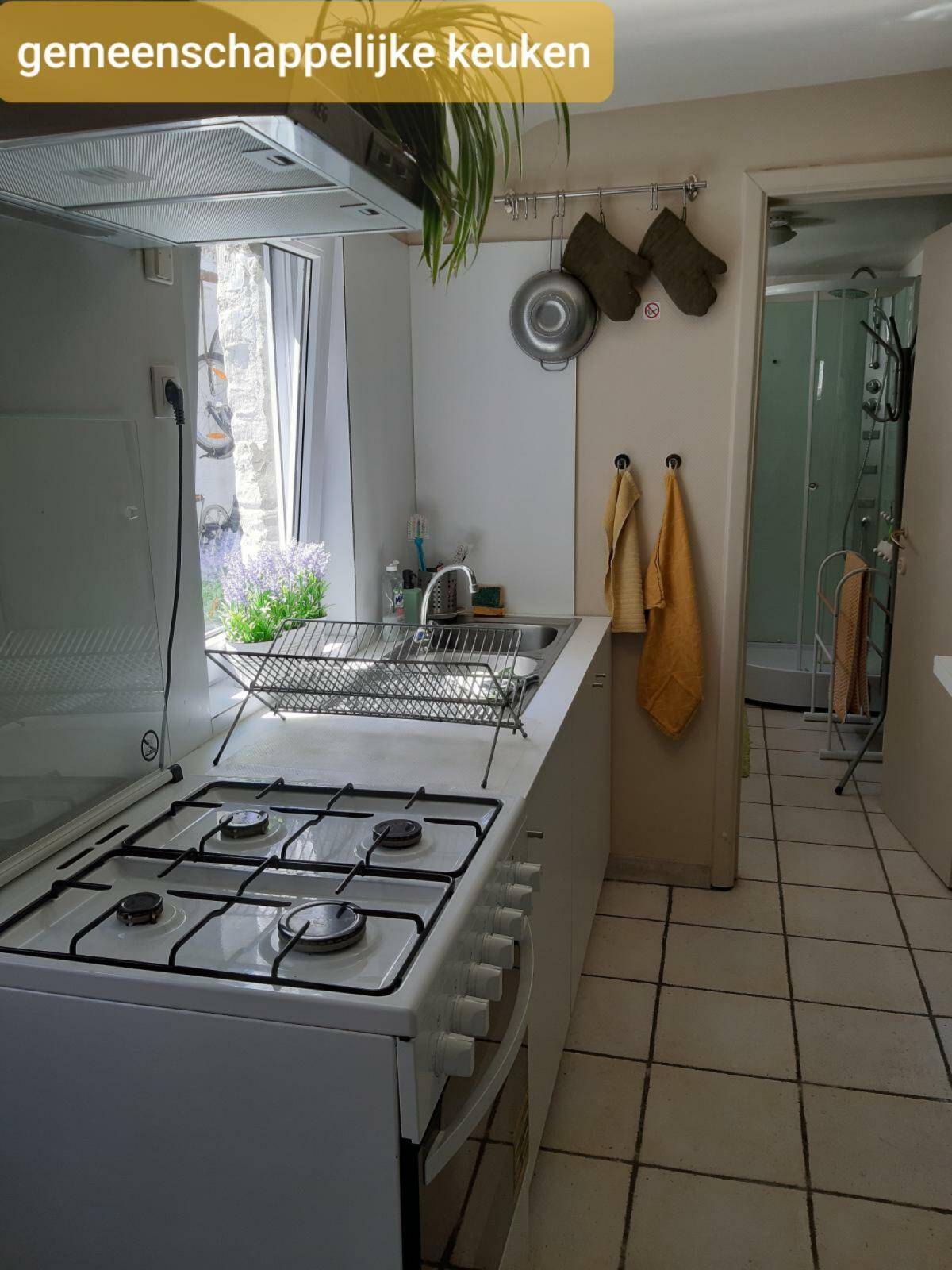 Gent-Brankardierstraat-8of12