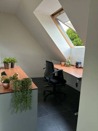Turnhout-Korte Albertstraat-3of7