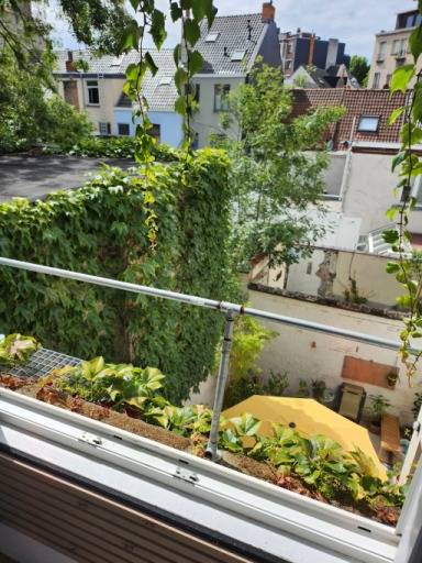 Ghent-Johan Daisnestraat-2of11
