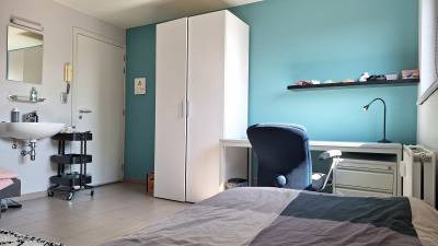 Room - in a larger (student)building - Rauwelkoven - Geel - thumbnail