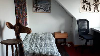 Kot - in groter (studenten)complex - Elsum - Geel - thumbnail