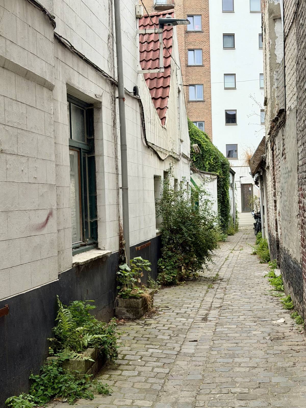 Gent-Sint-Lievenspoortstraat-12of18