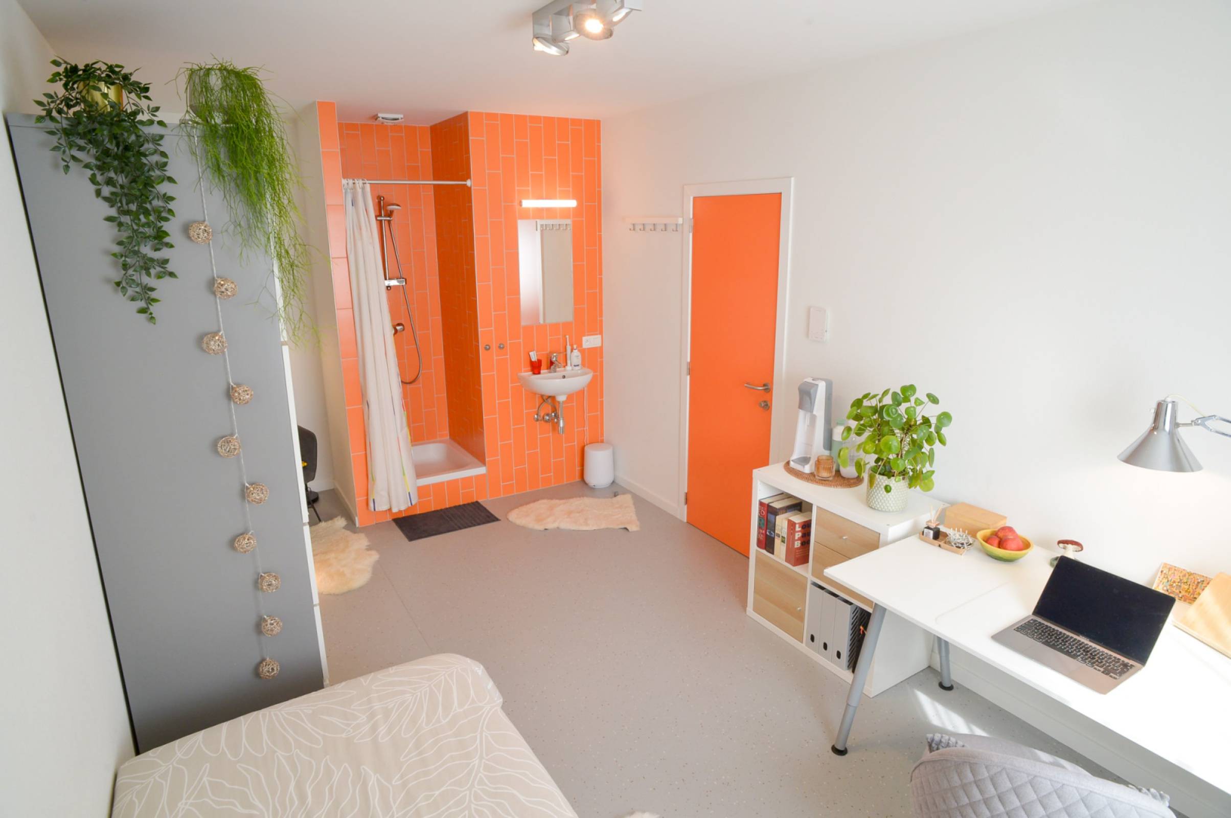 Gent-D. Van Monckhovenstraat-4of11