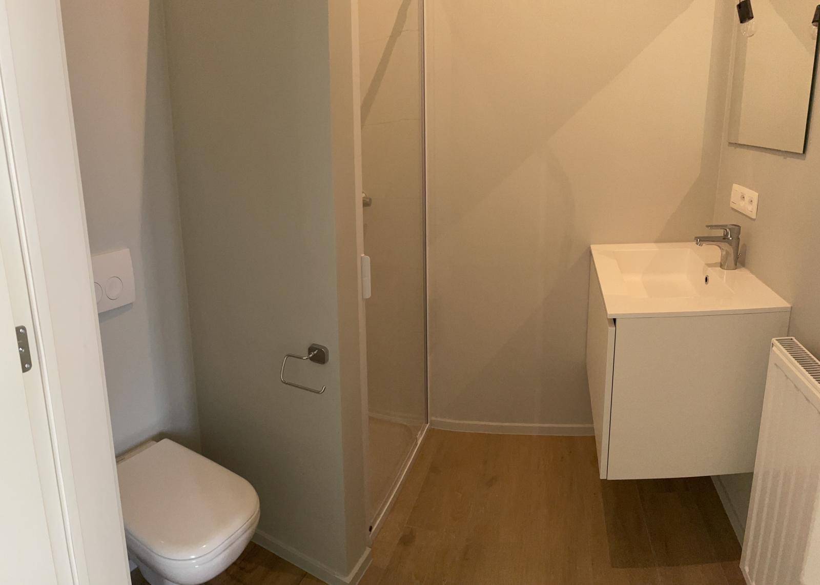 Hasselt-Frans Massystraat-3of8