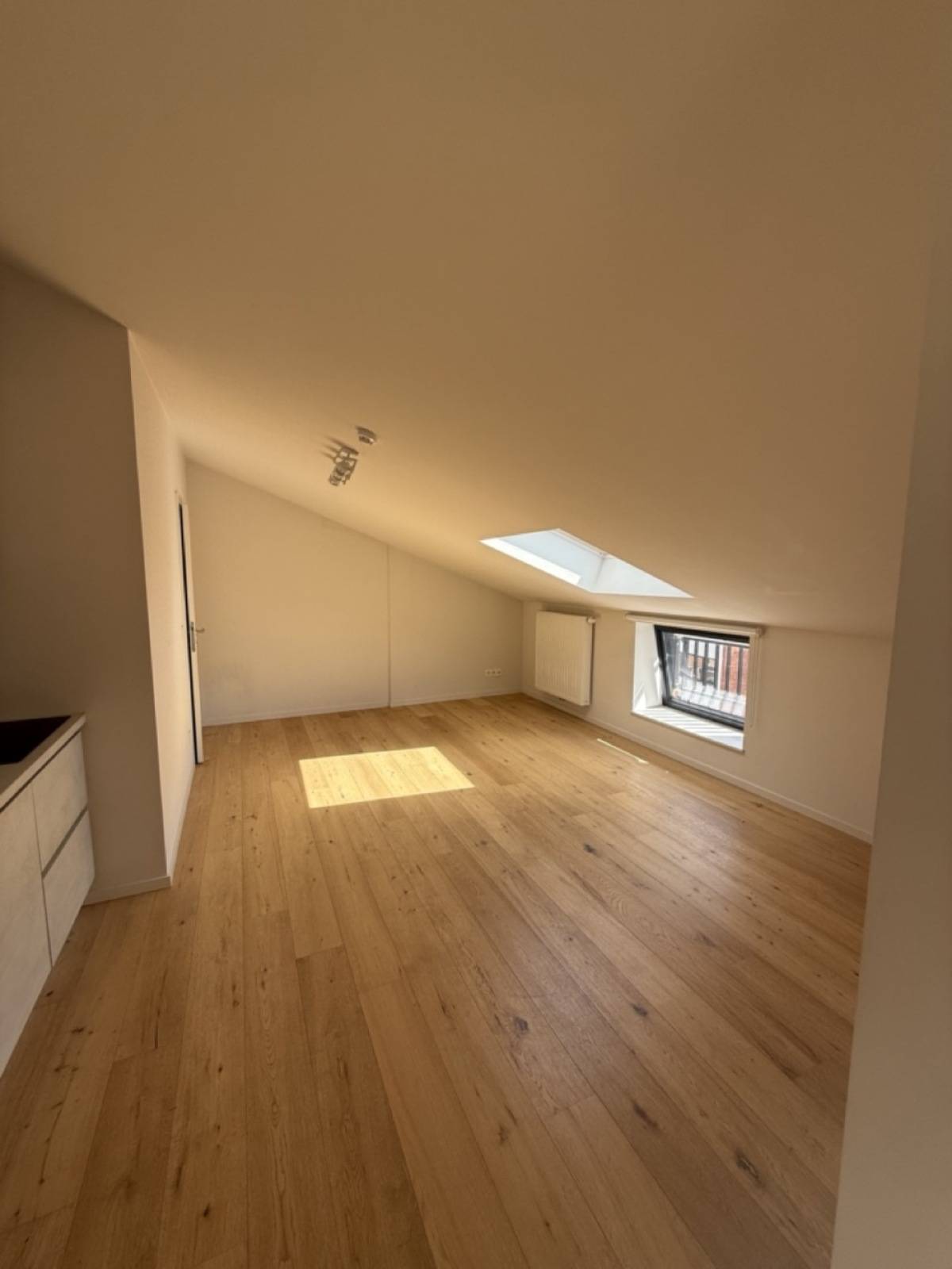 Leuven-Koning Leopold 1 straat-7of8