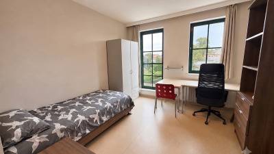 Studio - eigen sanitair en keuken - Slachthuislaan - Leuven - thumbnail