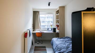 Kot - in groter (studenten)complex - Novaretzpad - Gent - thumbnail