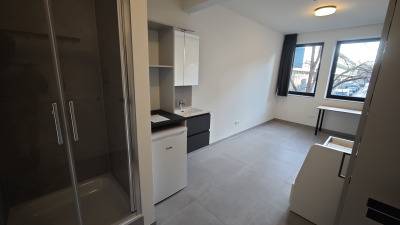 Kot - in groter (studenten)complex - Diestsesteenweg - Kessel Lo (Leuven) - thumbnail
