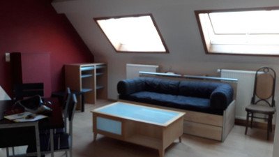 Studio - eigen sanitair en keuken - Sint-Kwintensberg - Gent - thumbnail