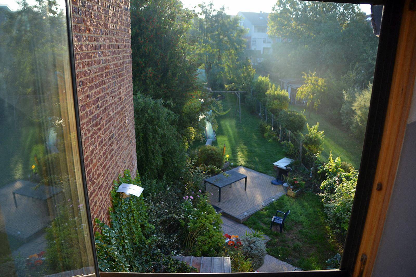 Sint-Agatha-Berchem-Rue Des Chats-1of5