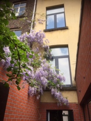 Ghent-Lentestraat-2of9