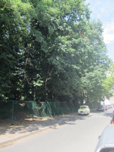 Wilrijk (Antwerpen)-Alfons Wellensstraat-2of12